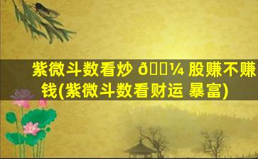 紫微斗数看炒 🐼 股赚不赚钱(紫微斗数看财运 暴富)
